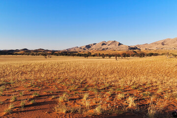 Serene view of Namib Naukluft National Park, Namibia