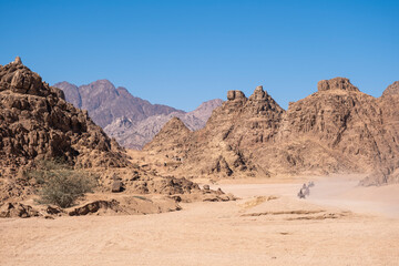 Naklejka na ściany i meble Quadricycle safari park in Egypt sand desert. Sharm el Sheikh, Sinai peninsula. Extreme travel on all-terrain vehicle. Mountains landscape.