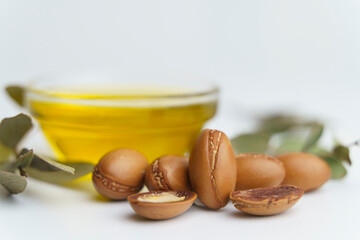 Argan seeds and oil isolated on a white background. Argan oil nuts with plant. Cosmetics and...