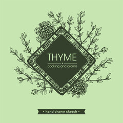Frame with twig of thyme with leaves .