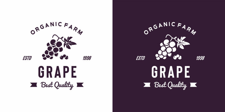 vintage grape fruit logo illustration suitable for fruit shop and fruit farm