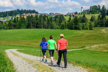 Fit und gesund durch Nordic Walking - mit Ansporn in der Gruppe