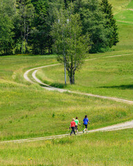 Fototapeta premium Nordic Walking in der Gruppe