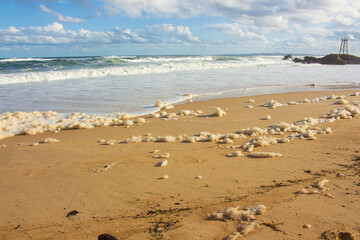 Fototapeta na wymiar Sea foam washed up on the beach