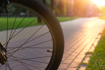 Close-up of a bicycle wheel in a city park at sunset.