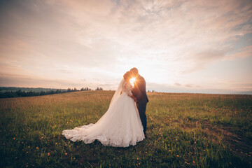 Fototapeta na wymiar bride in the field