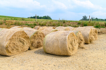Hay roll ballots with plastic mesh awaiting to feed cattle and other livestock on farmland