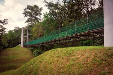 Side view of long bridge located in reserve jungle in Kuala Lumpur Malaysia.