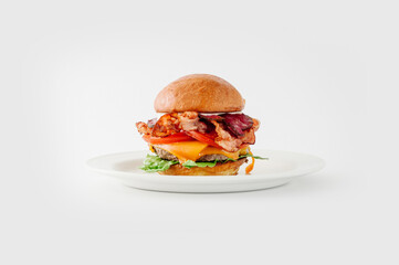 hamburger on a plate