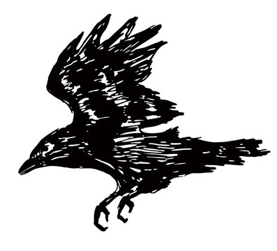 recommend clip art: Black grunge brush raven silhouette isolated on white background. Flying raven. Ink drawing