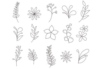 Botanical arts set. Hand drawning line of abstract flower, floral, braanch. Plant collection herbal elements. isolated vector vintage doodle set for cards, invitations, logo.
