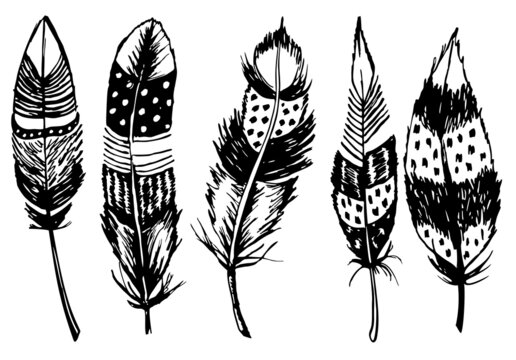 Vector Decorative Feather, Tribal design, Tattoo. Artistically drawn, stylized, vector set of feathers on a white background. Vintage tribal feather