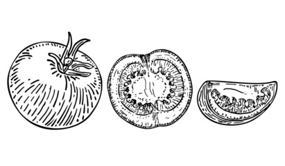 Ripe whole tomato, half and slice of tomato isolated sketch on a white background. Design element for product label, catalog print, web use