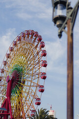 ferris wheel in the park