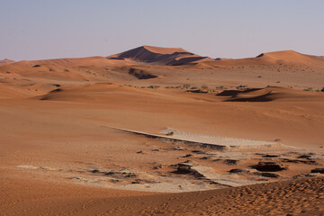 Fototapeta na wymiar Namib desert landscape with sand and dunes