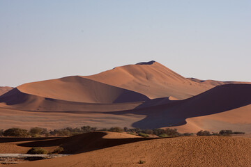 Namibia dune landscape with trees and water