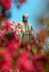 Monument to Taras Shevchenko in flowers - obrazy, fototapety, plakaty