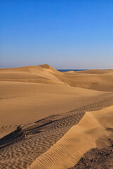 Fototapeta na wymiar Dune landscape