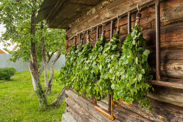 Bath brooms drying in the wind on the wall