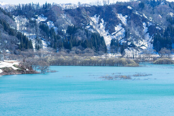 冬 山形 水没林 湖 湖沼 湖畔 幻想的 神秘的 雪国