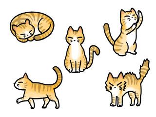 猫ポーズセット