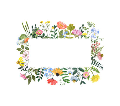Rectangle wildflowers frame. Bright colorful summer flowers, grass, weed, isolated on white background. Watercolor botanical illustration. Floral invitation design.