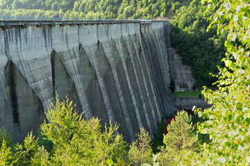 Hydrodam surrounded by green forest plantation