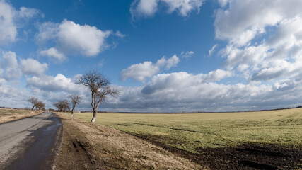 Fototapeta premium spring field and sky with clouds