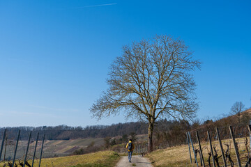 Neuenstein in Deutschland