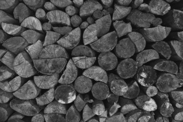 Black and white wood texture with various patterns, background. High quality photo 