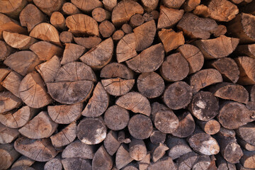 Wood texture with different patterns, background. 