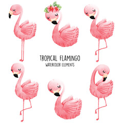 Watercolor flamingo, summer vector illustration - obrazy, fototapety, plakaty