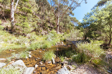 Lerderderg Gorge Circuit Walk in Melbourne Australia