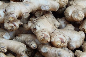 Racines de gingembre en vrac sur un étal de marché
