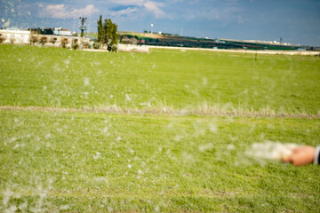 A view of the wicker weed falling apart. Image of the scattering of wickr weed in the air. Close-up shot of wicker weed flying through the air in a cloudy grassy place