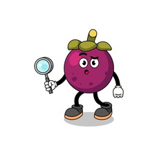 Mascot of mangosteen searching