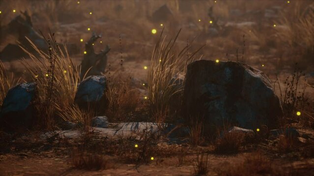 dry landscape with grass stones and fireflies