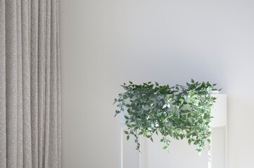 Ivy green plant in white plant stand and neutral decor home