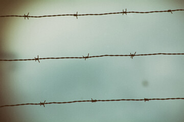 alambre de espinos, guerra mundial. © Claudio Castillo
