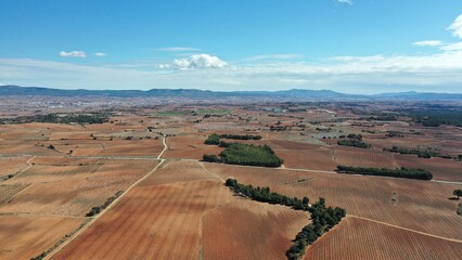 Fototapeta na wymiar survol de la province viticole de Utiel-Requena près de Valencia en Espagne