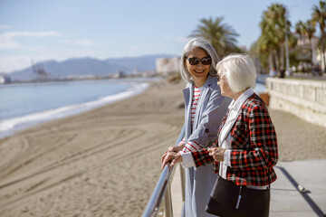 Fototapeta premium Happy female friends meeting outdoors by sea