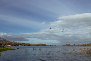 Ireland