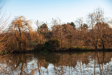 Sunset on a lake in Burgundy, France, with trees in winter and white birds in the trees