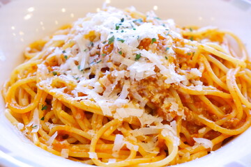 ミートソーススパゲティ