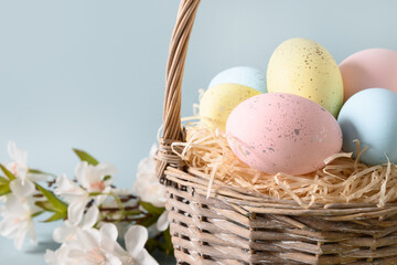 Easter wicker basket with pastel eggs, blossom spring flowers for Happy holiday and celebration on blue background. Close up. Greeting card.