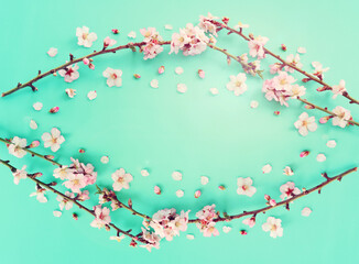 image of spring white cherry blossoms tree over mint pastel background. vintage filtered image