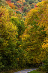 autumn in the mountains