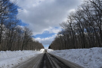 The maple road in winter, Québec, Canada