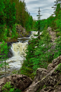 Waterfall Kivach in Kareliya - the second largest, after the Rhine, plain waterfall in Europe.