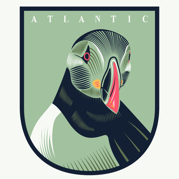 Atlantic Puffin Seabird Line Drawing Art